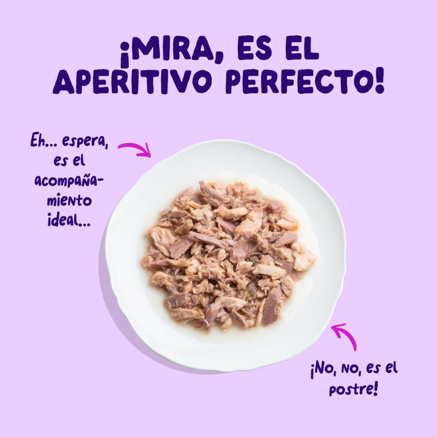 70 g Edgard & Cooper Filetes de Salm&oacute;n y At&uacute;n Lata para gatos, , large Imagen numero 3