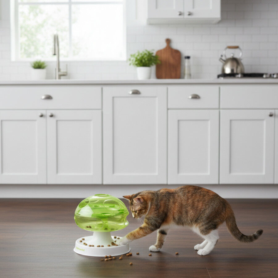 All For Paws Interactives Puzzle Mushroom para gatos, , large Imagen numero 1