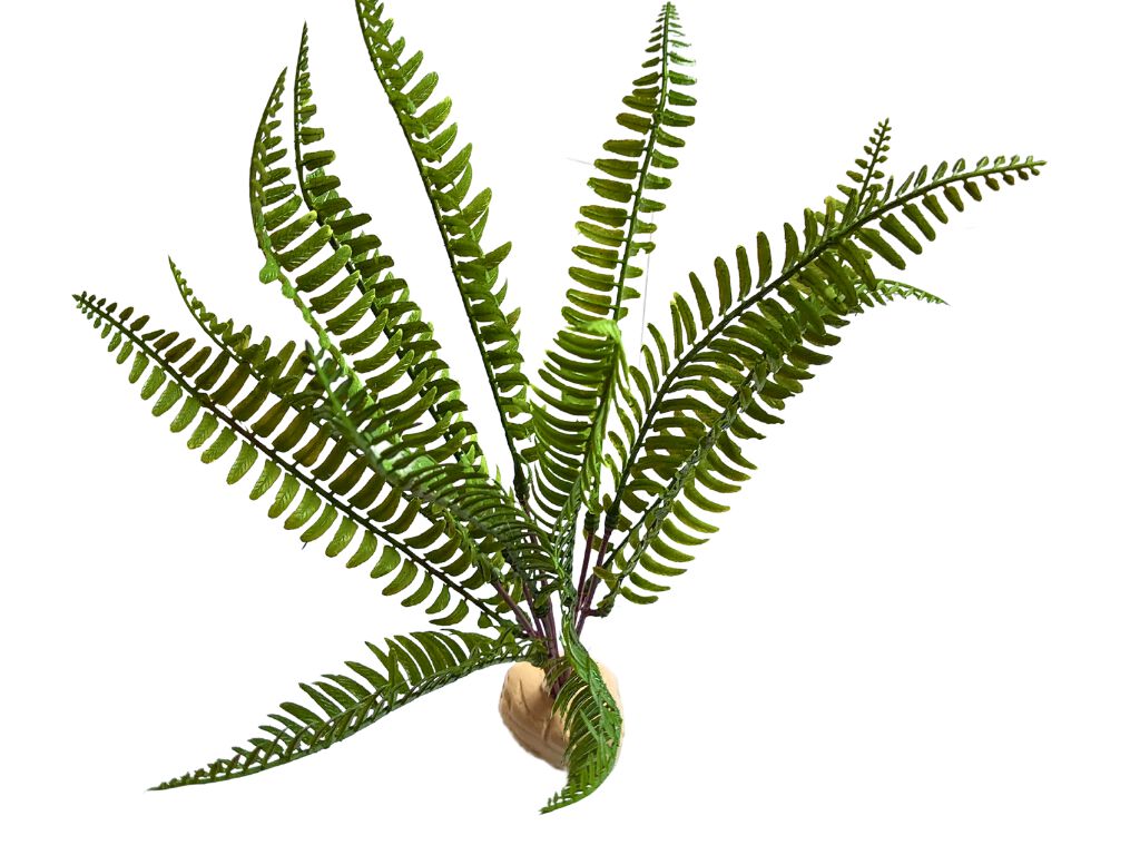 Reptilhábitat Planta Helecho De Decoración Para Terrarios thumbnail