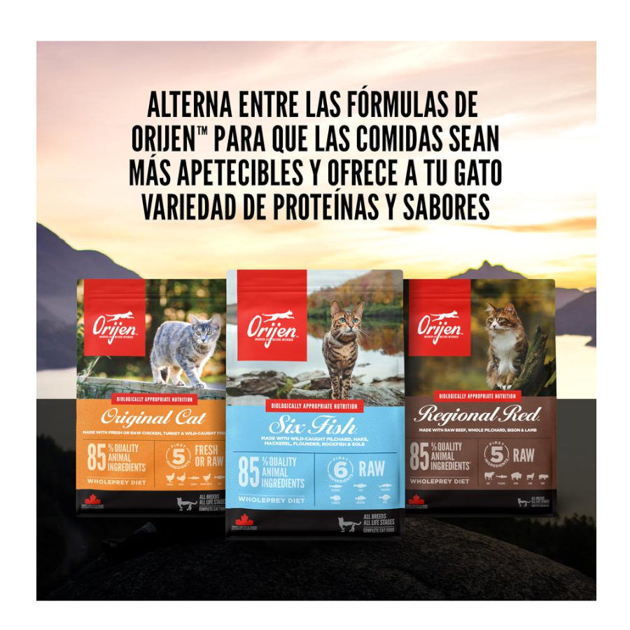 Orijen Original pienso para gatos y gatitos thumbnail