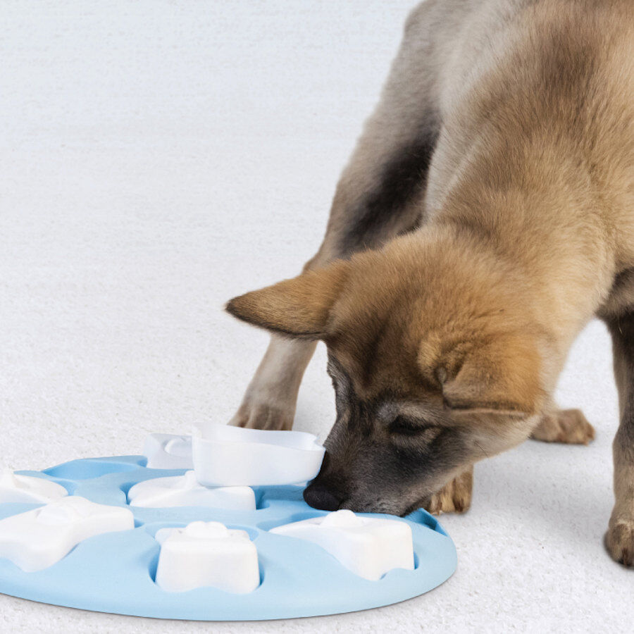 Outward Hound Puppy Smart Rompecabezas para cachorros thumbnail