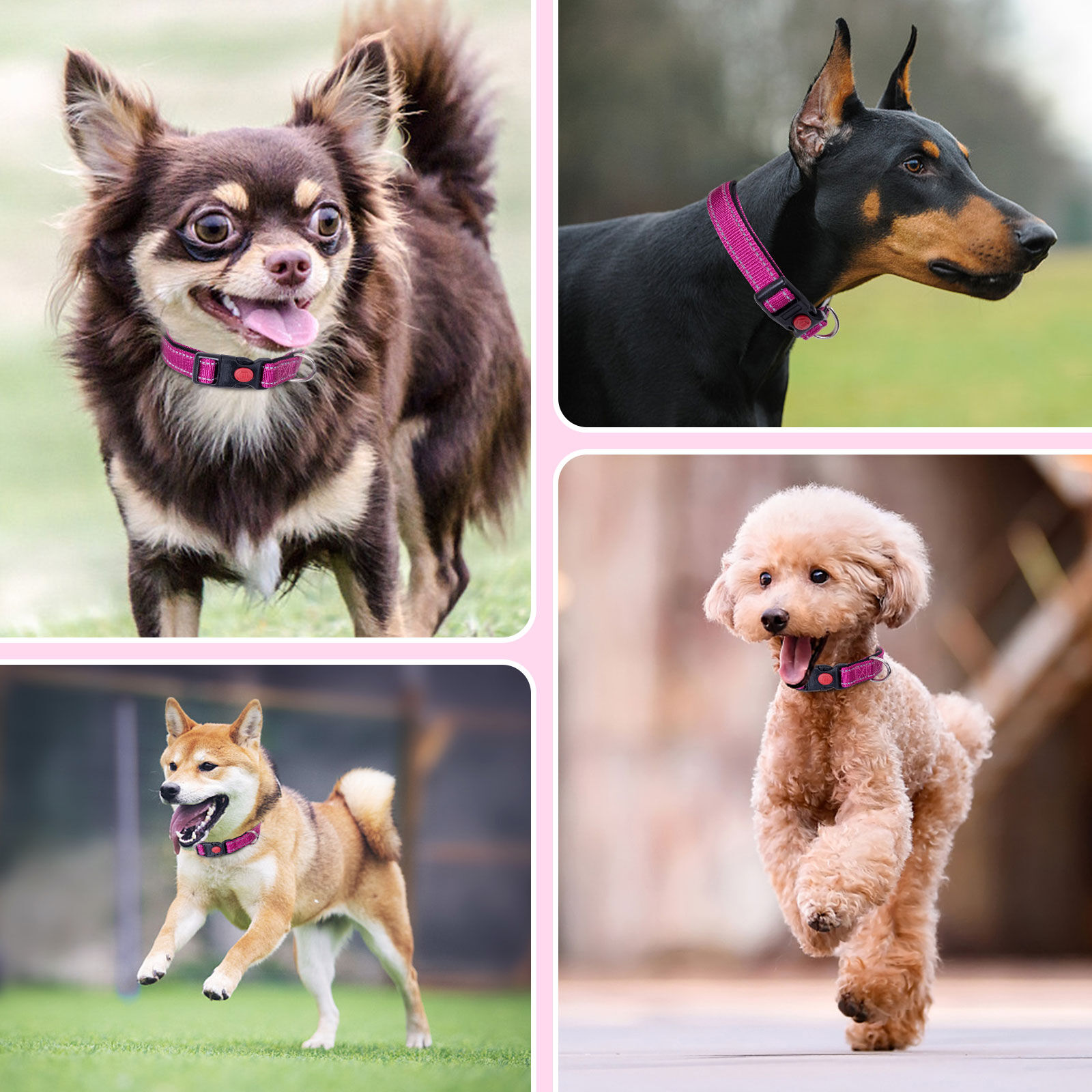 Nobleza - 2&times; Collar Perro, Collar Nylon Reflectante Suave Acolchado para Perros, Ajustable Collar Perro Grande con Cerradura de Seguridad, Collares de Entrenamiento para Perros (L, Rosa), , large Imagen numero 5