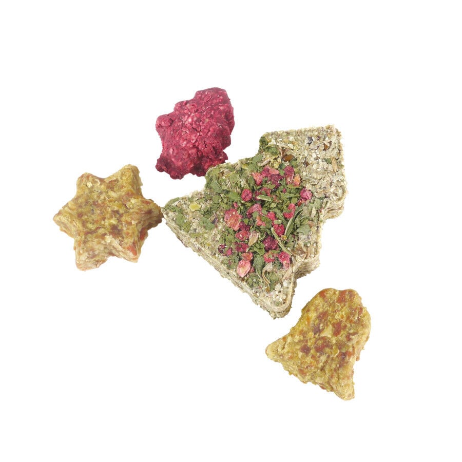 Rosewood Caja Surtida de Snacks Navideños para Roedores thumbnail