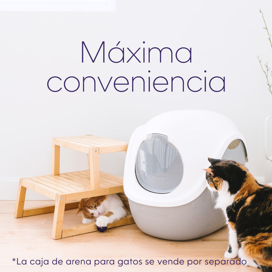 Litter Genie Cubierta Bandeja Sanitaria para gatos, , large Imagen numero 7