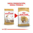 Royal Canin Adult Beagle pienso para perros, , large image number null