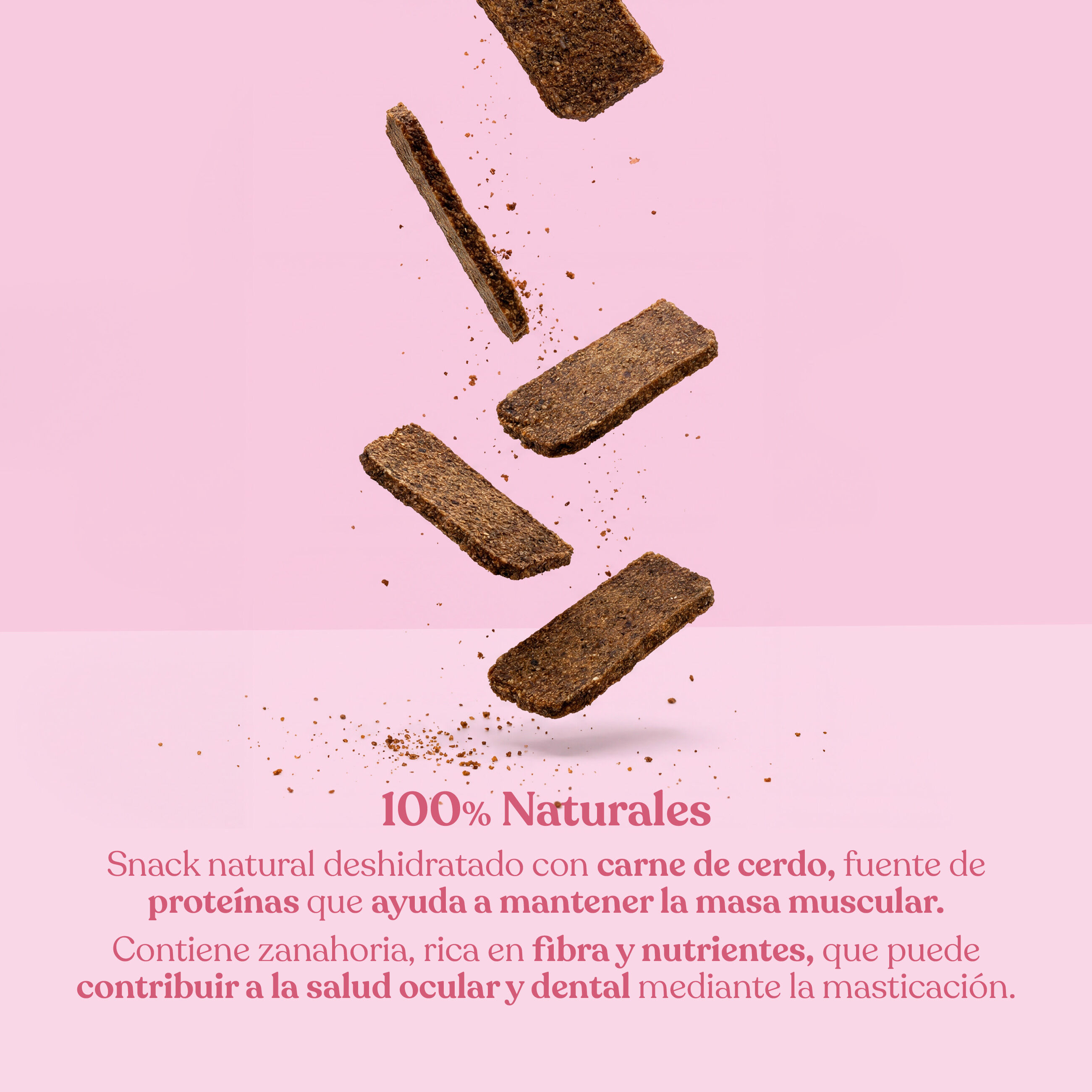 dr.bimix Filetes de Cerdo con Zanahoria para Perros | Premio Natural Rico en Prote&iacute;na, , large Imagen numero 2