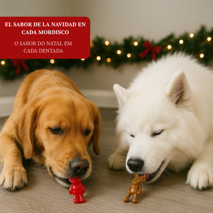 2 uds. Wonder Christmas Snacks Reno & Santa Navide&ntilde;os para perros, , large Imagen numero 4