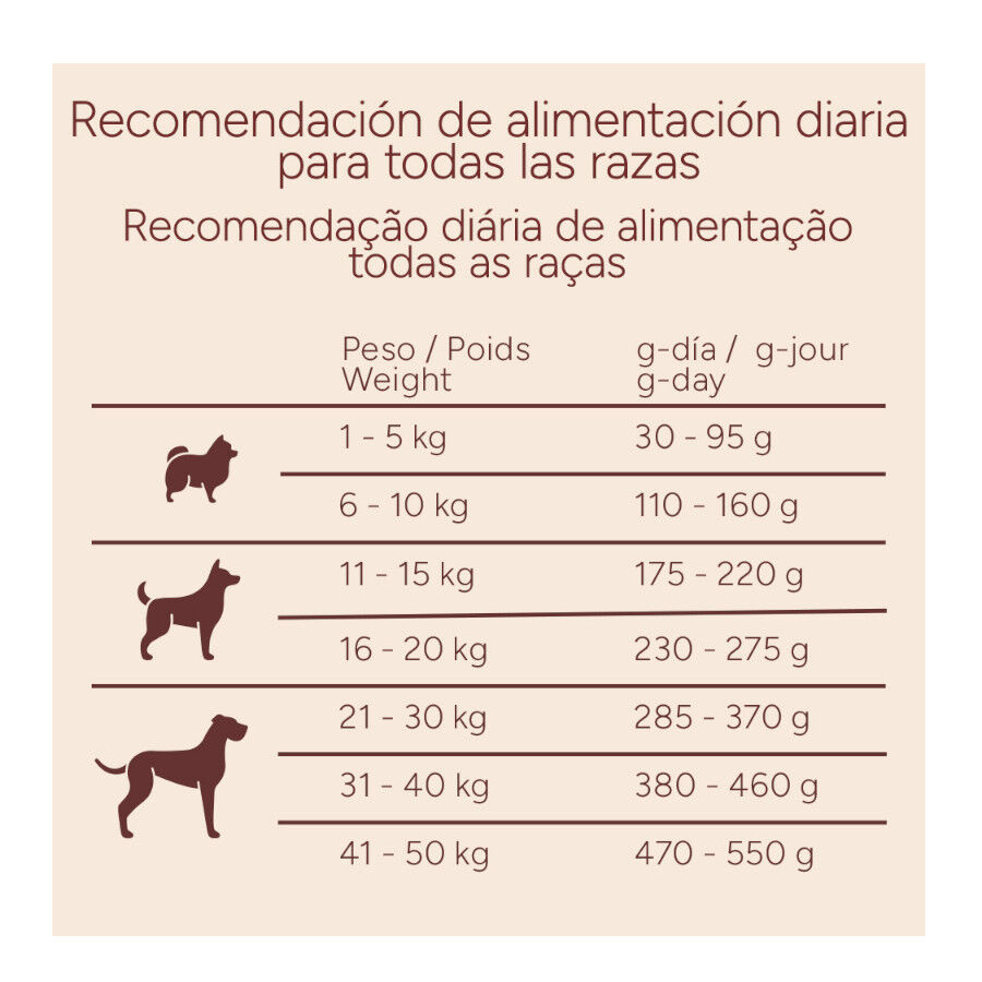 10 kg Criadores Monoproteico Adulto con Cordero pienso para perros, , large Imagen numero 10