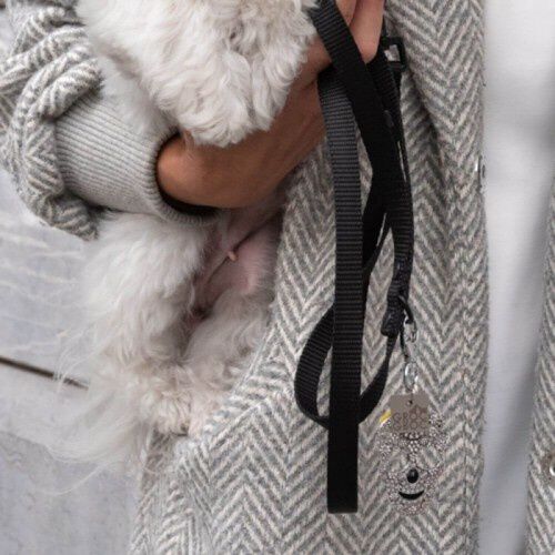 Correa Luckly Total Black para perros color Negro, , large Imagen numero 2