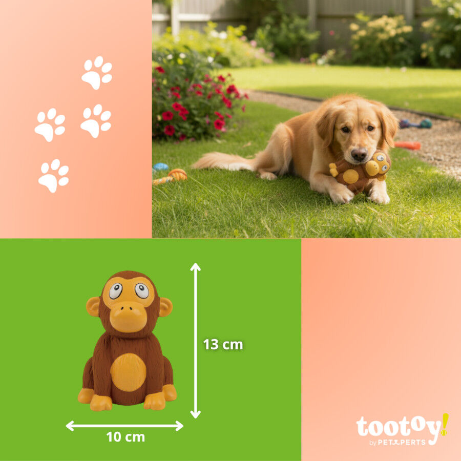 Tootoy! Chimpanc&eacute; Mordedor con Sonido para perros, , large Imagen numero 4