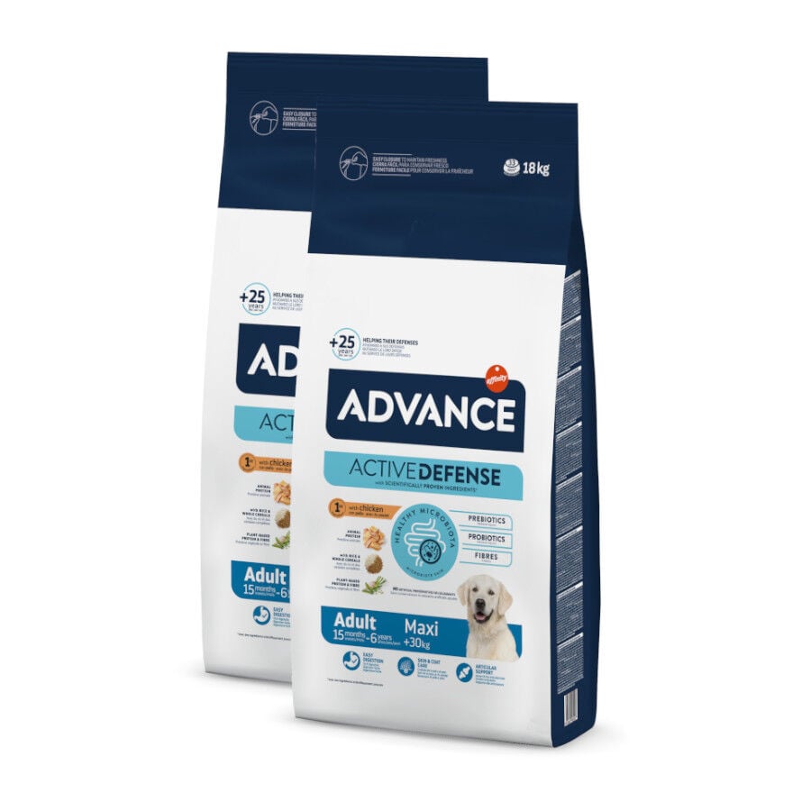 Advance Active Defense Maxi Adult pollo y arroz pienso para perros