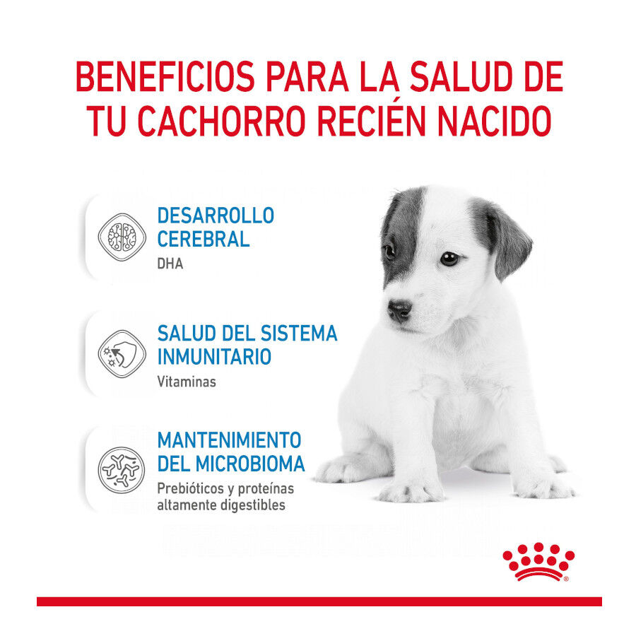 400 g Royal Canin Leche para cachorros primer a&ntilde;o, , large Imagen numero 6