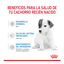 Royal Canin Leche para cachorros primer año, , large indicador imagen numero 6