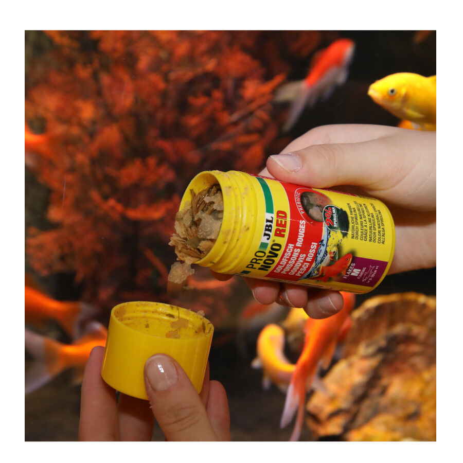 JBL ProNovo Red Flakes M alimento para peces thumbnail