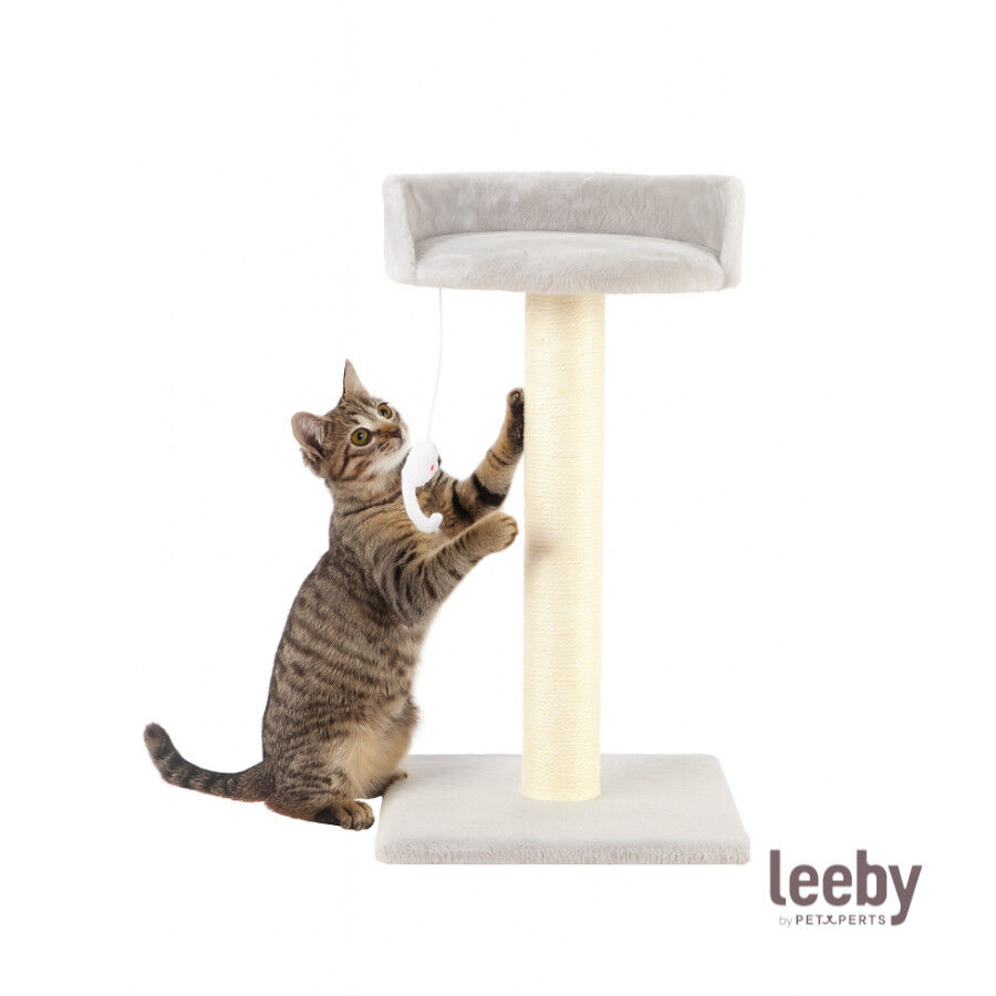 Leeby Tigrou rascador con cama y juguete gris para gatos, , large Imagen numero 2