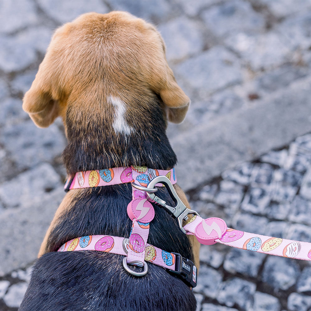 Arn&eacute;s Donut para perros color Varios, , large Imagen numero 2