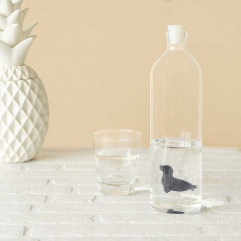 Botella para agua con figura de foca color Transparente thumbnail