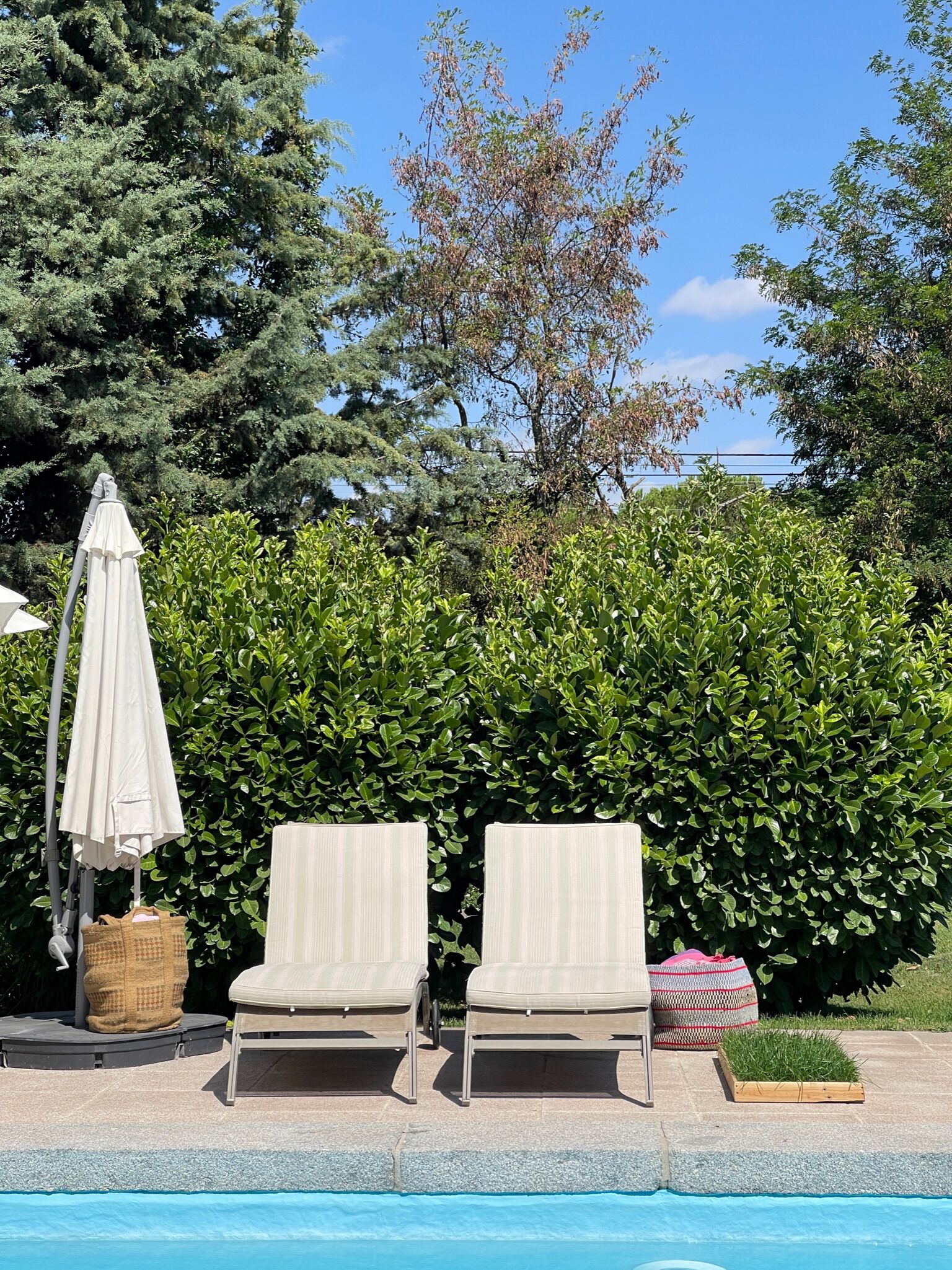 PetGround Cajas de Madera, , large Imagen numero 4