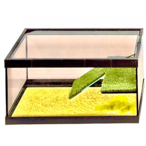 Akkua Tortuguera Rep house de cristal para tortugas, , large Imagen numero 3