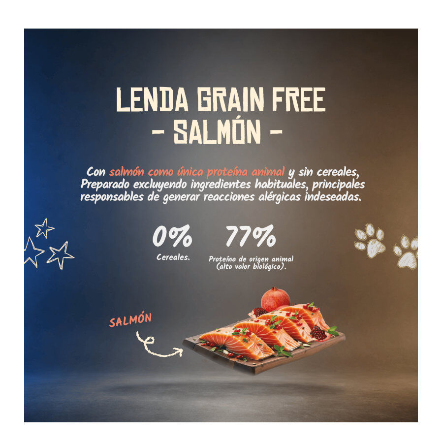 2 Kg Lenda Grain Free Salm&oacute;n pienso para perros, , large Imagen numero 2