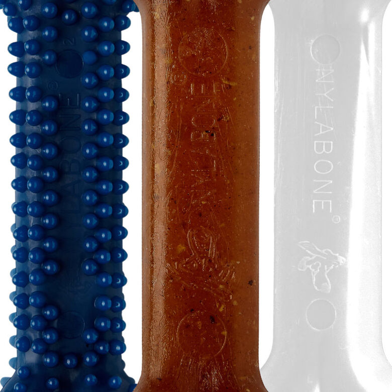 Nylabone Kit de Iniciación Mordedor Triple para cachorros thumbnail