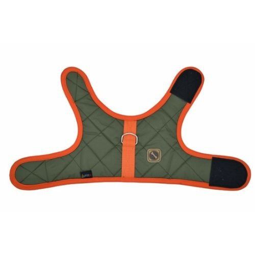 Loyal arn&eacute;s giaca verde para perros, , large Imagen numero 4