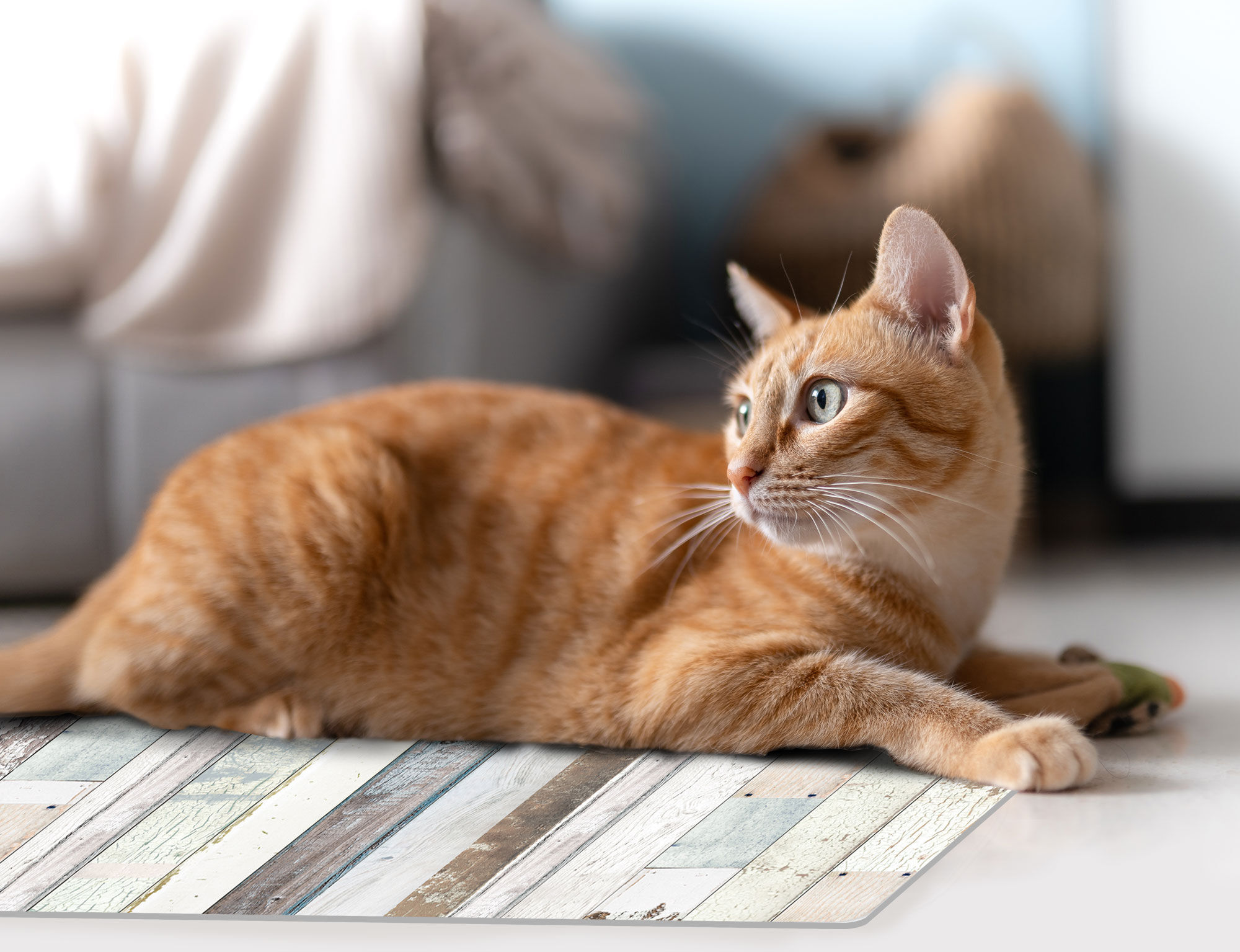 VINILIKO, alfombra de vinilo mascotas, Tablas de madera 48x75 cm, , large Imagen numero 3