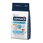 Advance Active Defense Mini Puppy pienso para perros, , large image number null