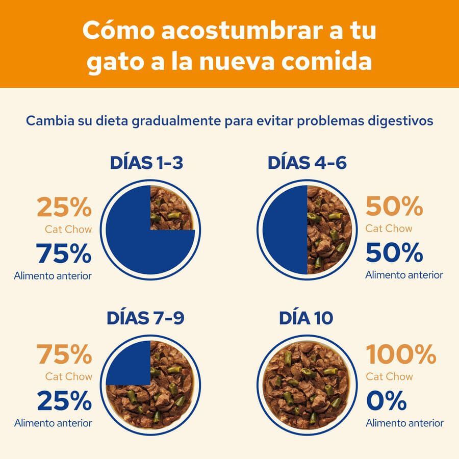 Cat Chow Salmón en Gelatina thumbnail