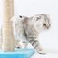 Nobleza &ndash; Poste rascador para Gatos de sisal con Juguete. Peque&ntilde;o, Color Azul. Medidas: 20 * 22 * 28vm, , large indicador imagen numero 2