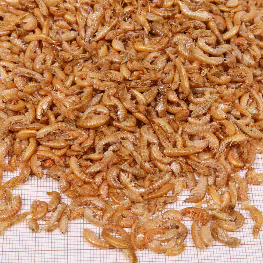 JBL Gammarus de Río Deshidratados para tortugas acuáticas thumbnail