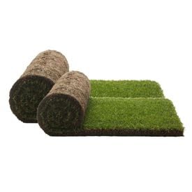 Petground Recambio Empapador para perros