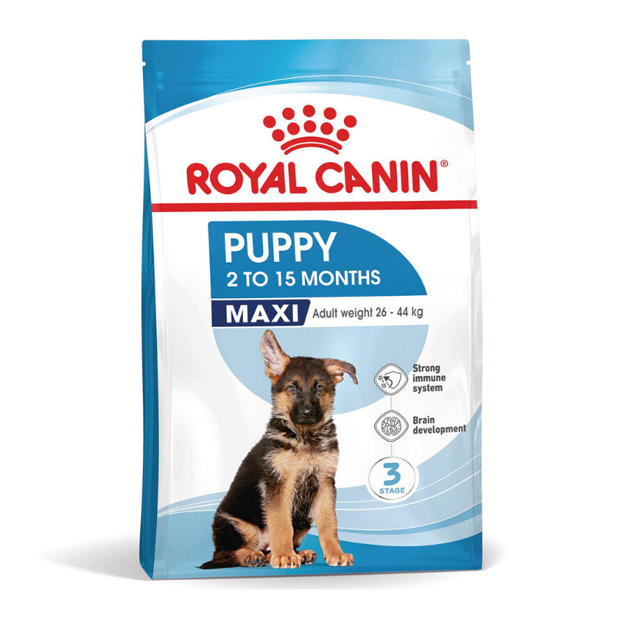 15 kg Royal Canin Puppy Maxi pienso para perros, , large Imagen numero 1