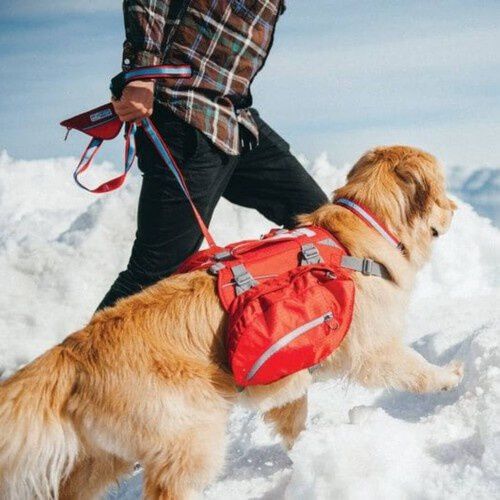 Alforjas para perros grandes deals