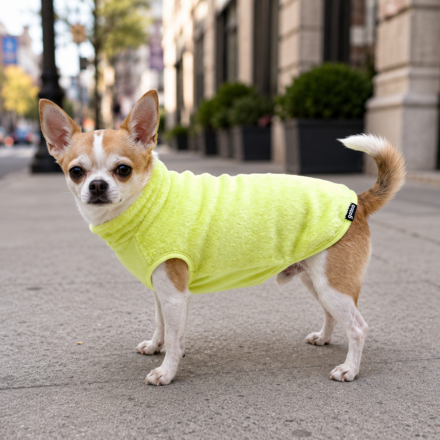 Gotoo Jersey Polar Verde Lima para perros, , large Imagen numero 1