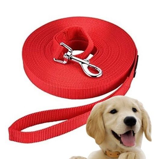 Edipets correa de adiestramiento larga de naylon roja para perros, , large image number null