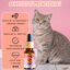 Paradise Salmón Aceite 10% CBD Relajante para Gatos y Perros | Hecho en España, , large indicador imagen numero 3