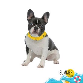 Summer Vibes Bandana refrescante para perros