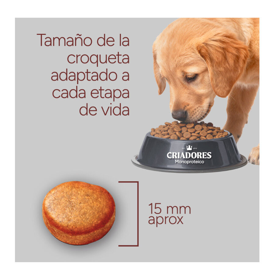 10 kg Criadores Monoproteico Light -40% contenido graso Adulto con Pollo pienso para perros, , large Imagen numero 8