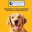 7 barritas Pedigree Rodeo Snack Buey para Perros, , large indicador imagen numero 7