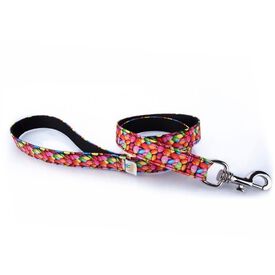 Correa Pamppy Galgo chocolatinas para perros