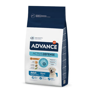 Advance Active Defense Maxi Adult pollo y arroz pienso para perros
