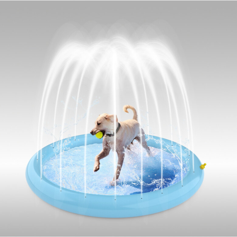 Summer Vibes Doggy Splash Piscina con Chorros para perros, , large image number null