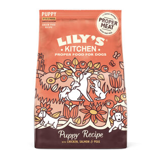 Lily's Kitchen Puppy Pollo y Salmón pienso para perros