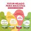 Helados Perros y Gatos – Naturales y Funcionales – Pack 4 sabores, , large indicador imagen numero 2