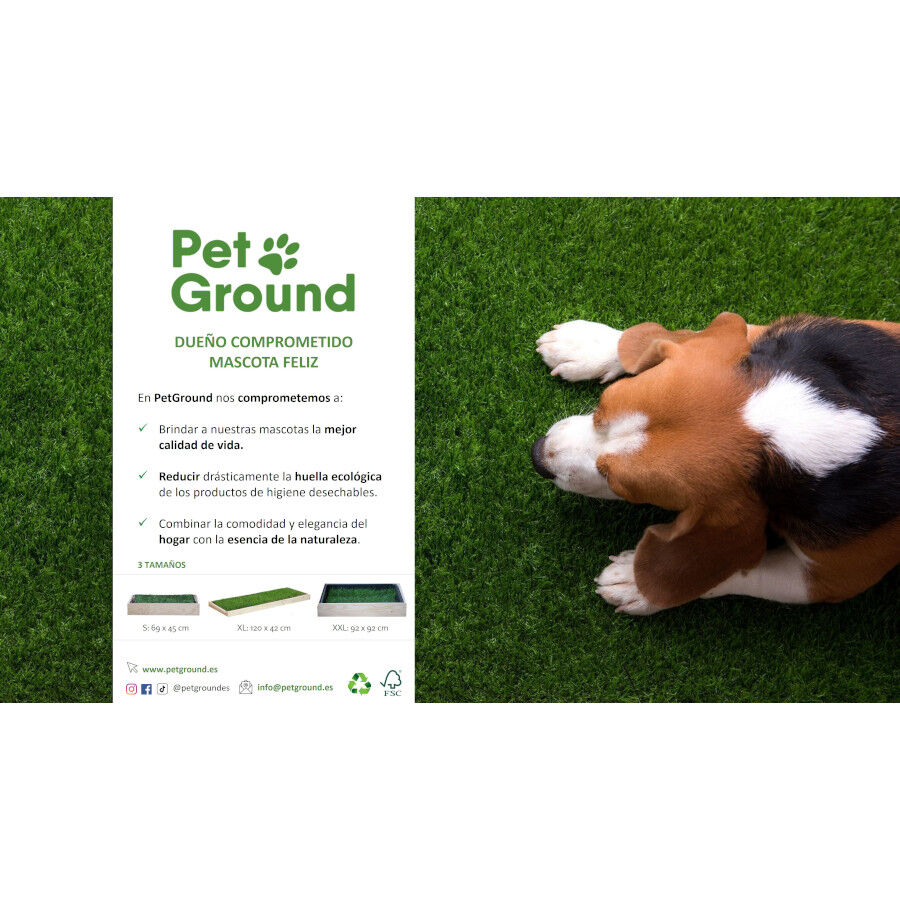 Petground, Cama para gatos, Caja de Madera, Accesorio, Mueble, XL, , large Imagen numero 4