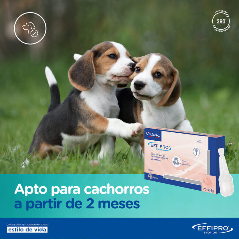 Virbac Effipro pipetas antiparásitos perros 20-40 kg thumbnail