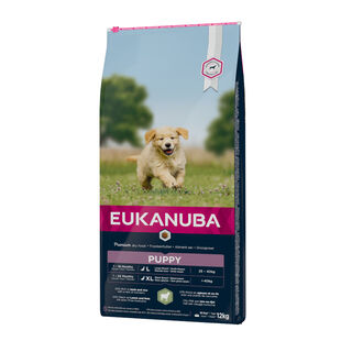 Eukanuba Puppy Large Cordero y Arroz pienso para cachorros