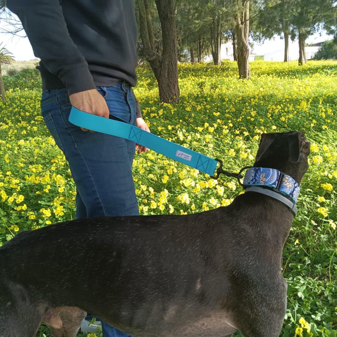 EGV - Correa corta perro 4cm ancho, asa neopreno y 50cm longitud. (Azul), , large Imagen numero 5