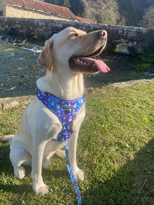 PENGUIN FRIENDS, , large Imagen numero 3